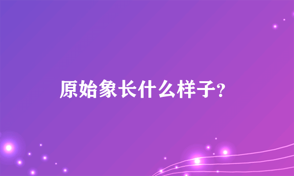 原始象长什么样子？