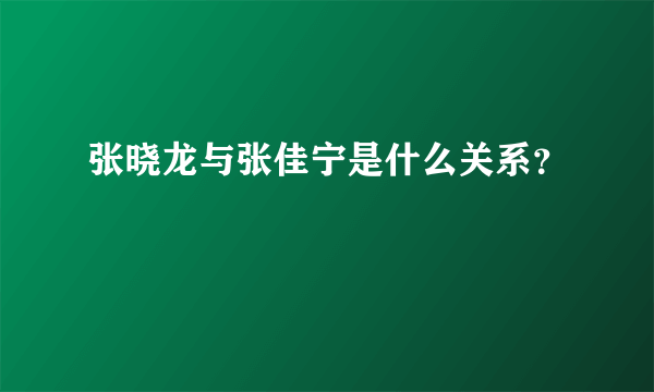 张晓龙与张佳宁是什么关系？