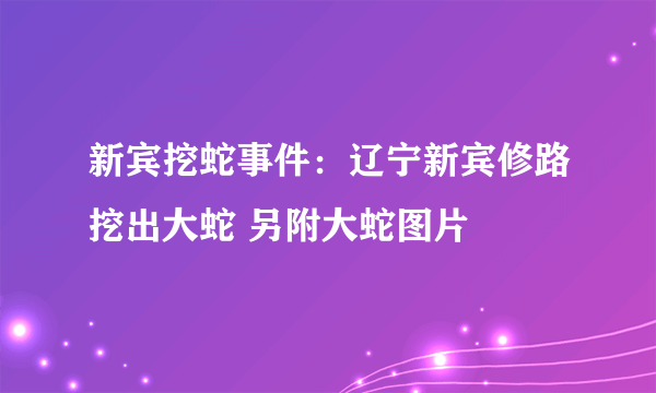 新宾挖蛇事件：辽宁新宾修路挖出大蛇 另附大蛇图片