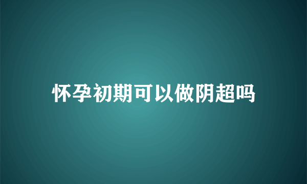 怀孕初期可以做阴超吗