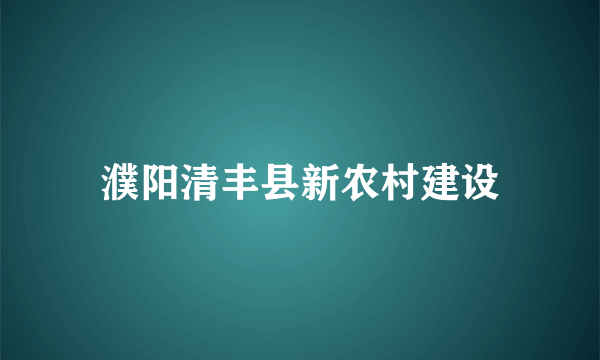 濮阳清丰县新农村建设