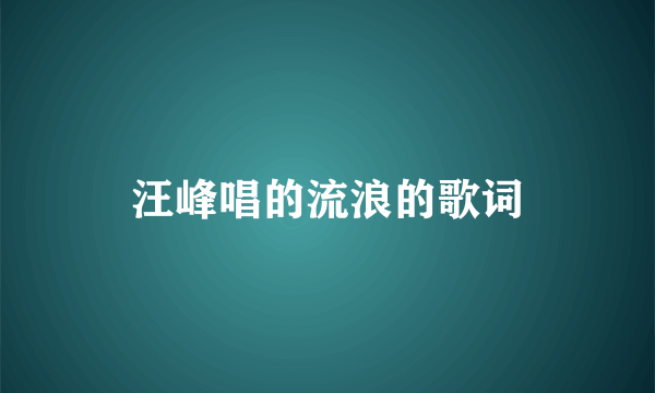 汪峰唱的流浪的歌词