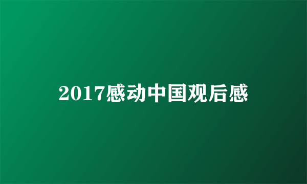 2017感动中国观后感