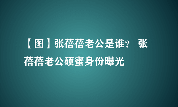 【图】张蓓蓓老公是谁？ 张蓓蓓老公硕蜜身份曝光