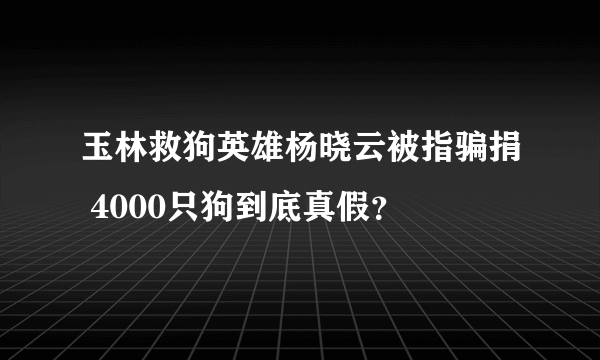 玉林救狗英雄杨晓云被指骗捐 4000只狗到底真假？