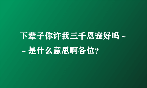 下辈子你许我三千恩宠好吗～～是什么意思啊各位？