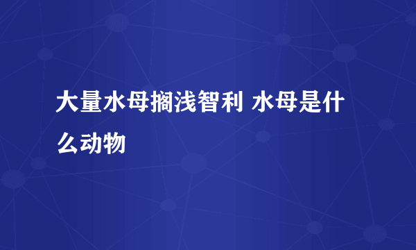 大量水母搁浅智利 水母是什么动物