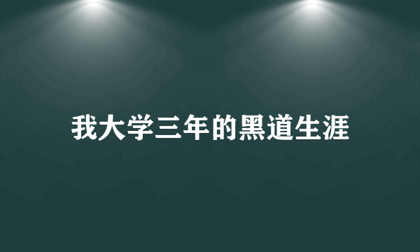 我大学三年的黑道生涯