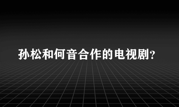 孙松和何音合作的电视剧？