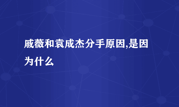 戚薇和袁成杰分手原因,是因为什么