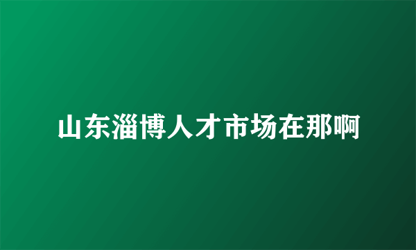 山东淄博人才市场在那啊