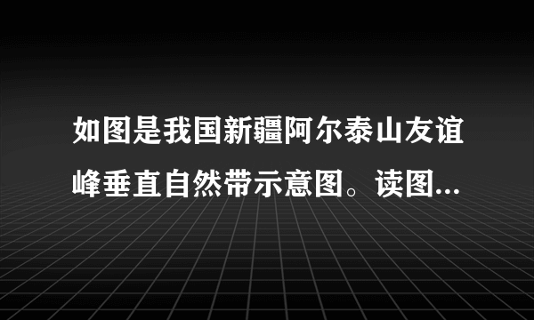 如图是我国新疆阿尔泰山友谊峰垂直自然带示意图。读图完成25～26题。形成友谊峰垂直植被分异和南北坡植被分异的主要因素分别是（　　）A.气温、降水B.降水、气温C.气温、气温D.降水、降水