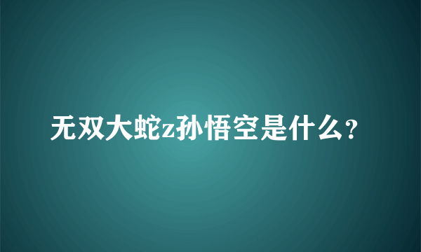 无双大蛇z孙悟空是什么？