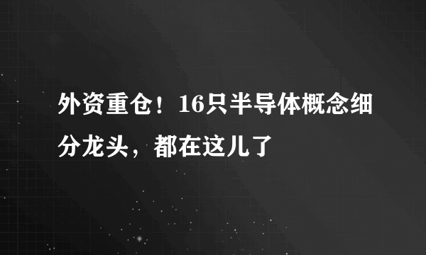 外资重仓！16只半导体概念细分龙头，都在这儿了