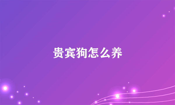 贵宾狗怎么养