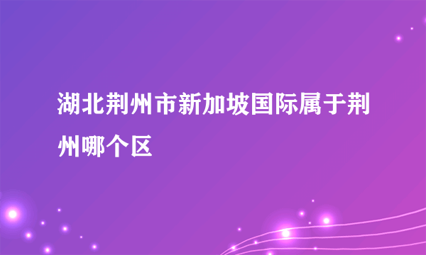 湖北荆州市新加坡国际属于荆州哪个区