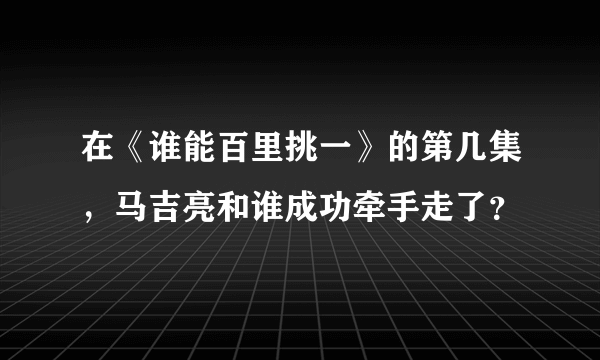 在《谁能百里挑一》的第几集，马吉亮和谁成功牵手走了？