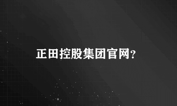 正田控股集团官网？