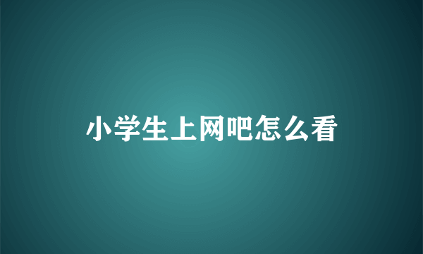 小学生上网吧怎么看