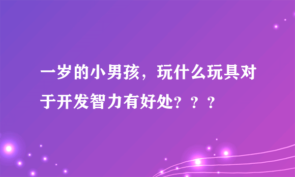 一岁的小男孩，玩什么玩具对于开发智力有好处？？？