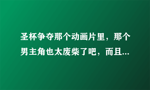 圣杯争夺那个动画片里，那个男主角也太废柴了吧，而且脑子绝对被门挤过，太二了…