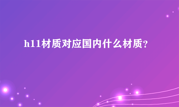 h11材质对应国内什么材质？