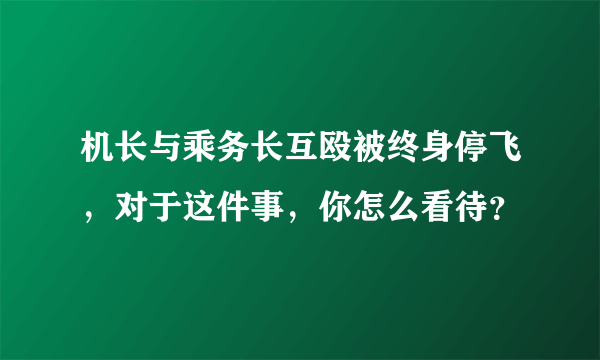 机长与乘务长互殴被终身停飞，对于这件事，你怎么看待？