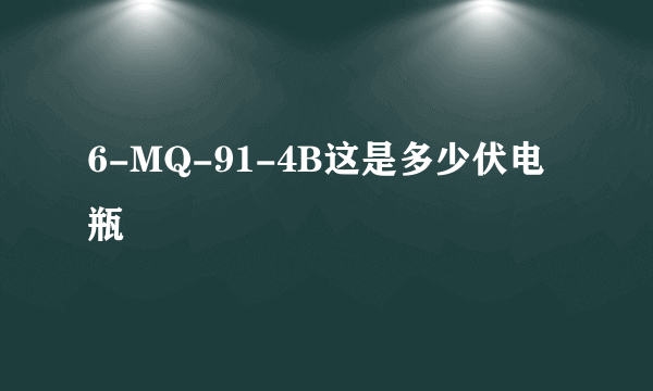 6-MQ-91-4B这是多少伏电瓶