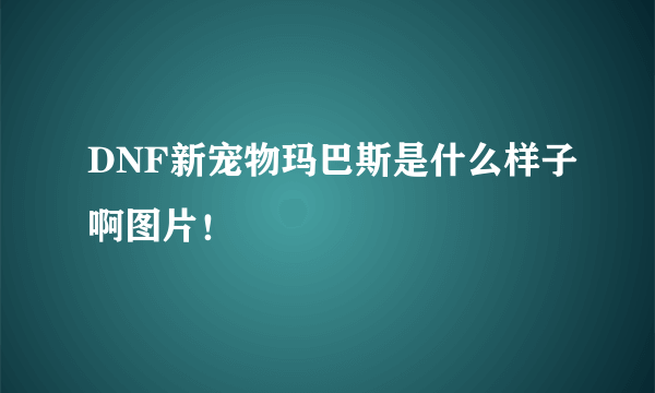 DNF新宠物玛巴斯是什么样子啊图片！