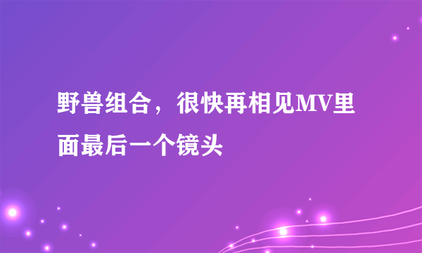 野兽组合，很快再相见MV里面最后一个镜头