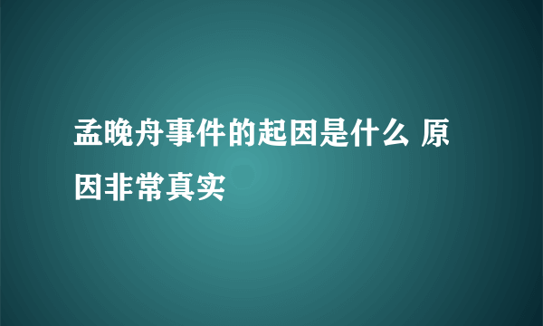 孟晚舟事件的起因是什么 原因非常真实