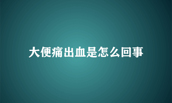 大便痛出血是怎么回事