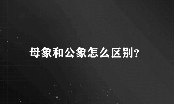 母象和公象怎么区别？