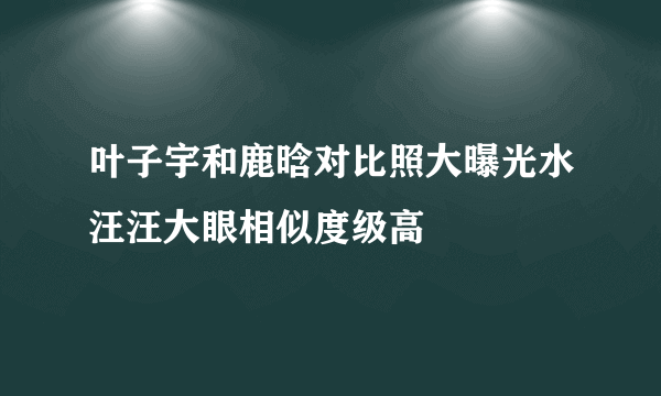 叶子宇和鹿晗对比照大曝光水汪汪大眼相似度级高