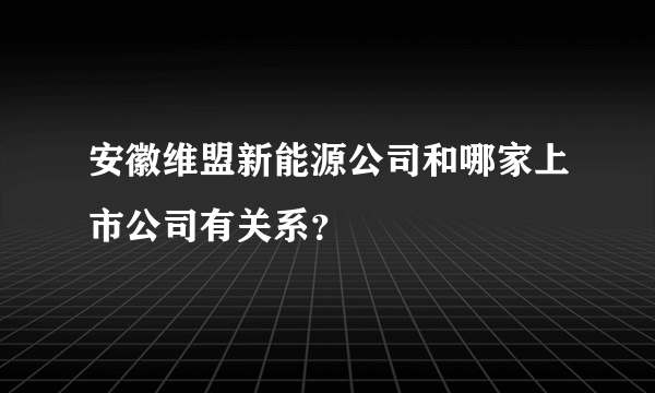 安徽维盟新能源公司和哪家上市公司有关系？