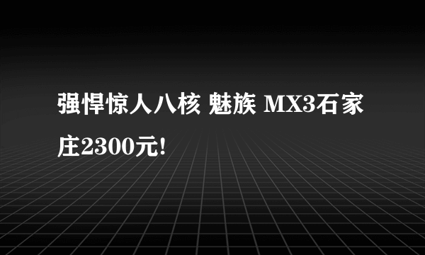 强悍惊人八核 魅族 MX3石家庄2300元!