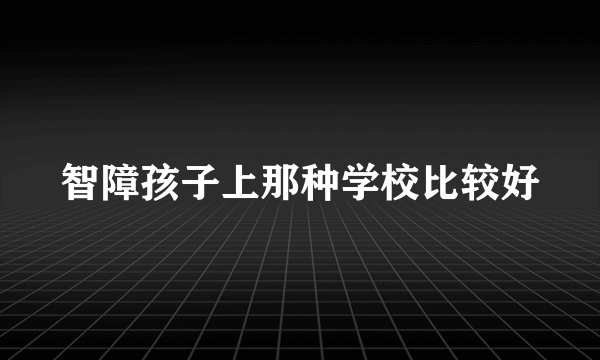 智障孩子上那种学校比较好