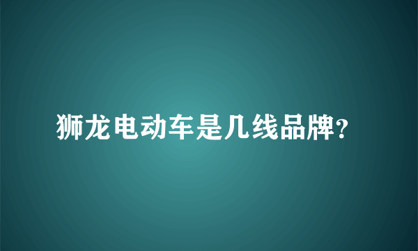 狮龙电动车是几线品牌？