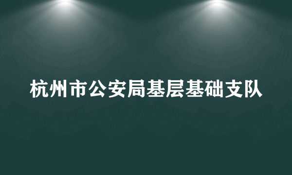 杭州市公安局基层基础支队