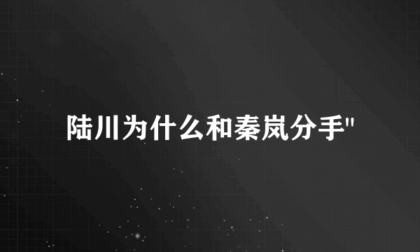 陆川为什么和秦岚分手