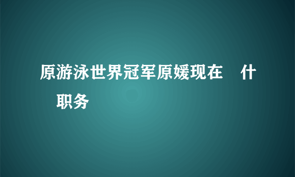 原游泳世界冠军原媛现在仼什麼职务