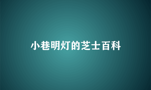 小巷明灯的芝士百科