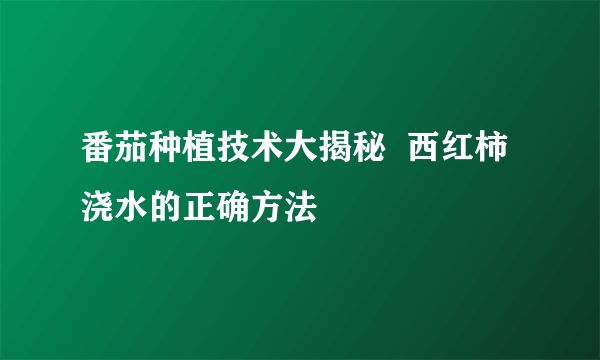 番茄种植技术大揭秘  西红柿浇水的正确方法