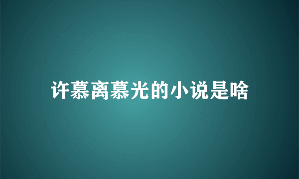 许慕离慕光的小说是啥