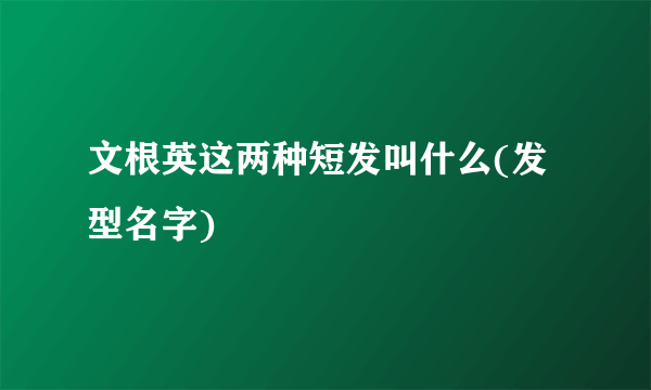 文根英这两种短发叫什么(发型名字)