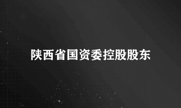 陕西省国资委控股股东