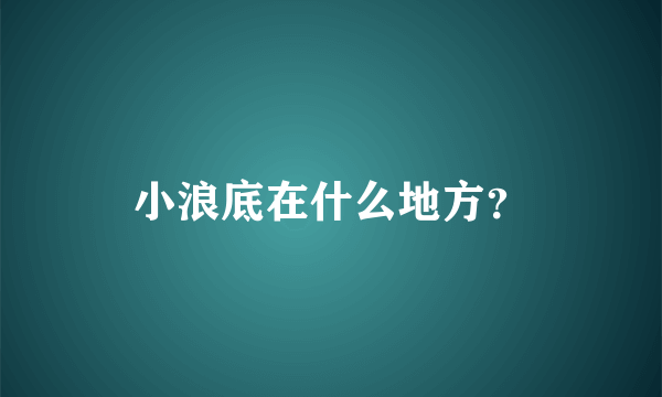 小浪底在什么地方？