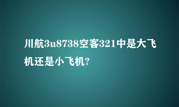 川航3u8738空客321中是大飞机还是小飞机?