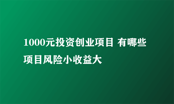 1000元投资创业项目 有哪些项目风险小收益大