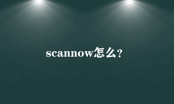 scannow怎么？